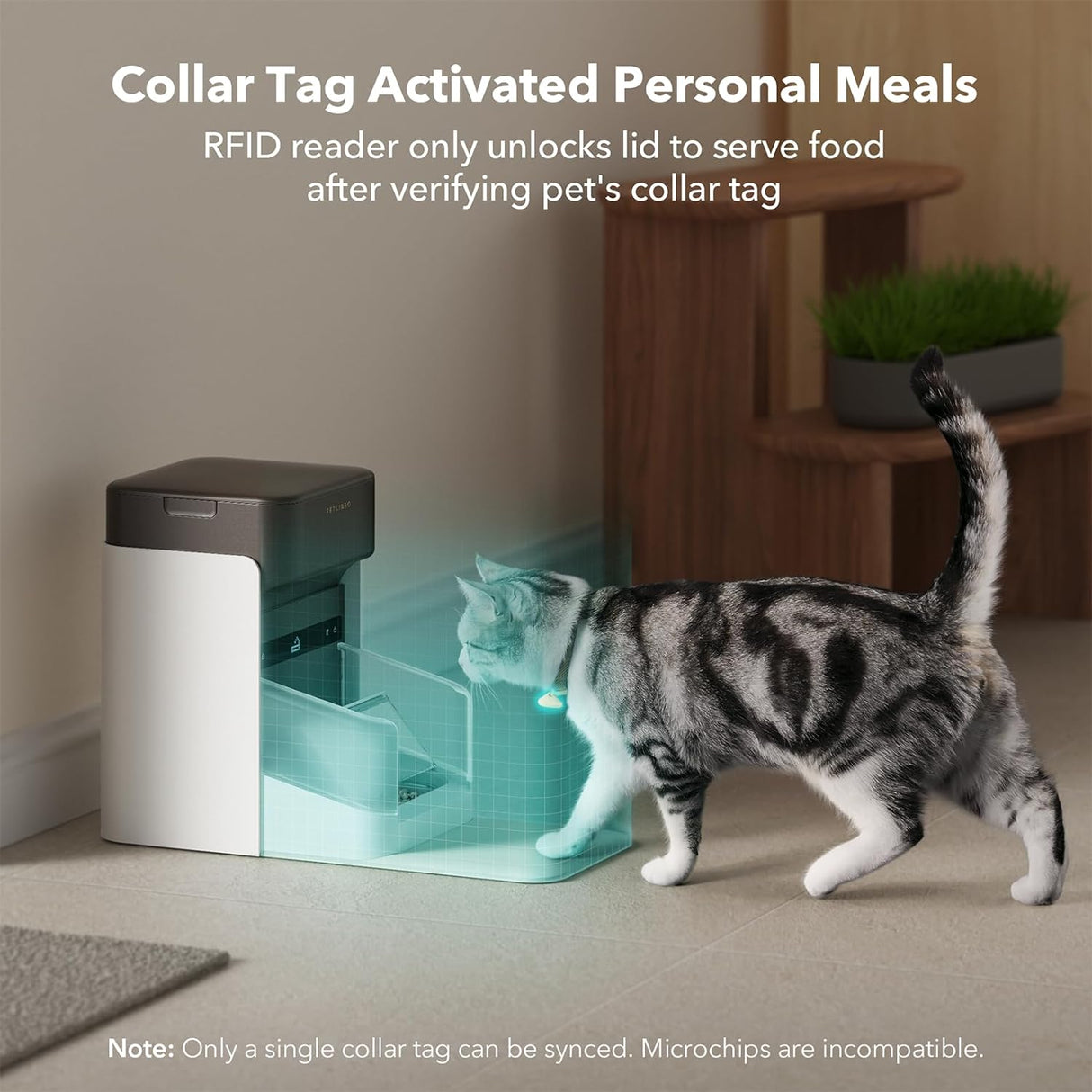 Alimentador automático del gato del RFID PLAF301 PETLIBRO