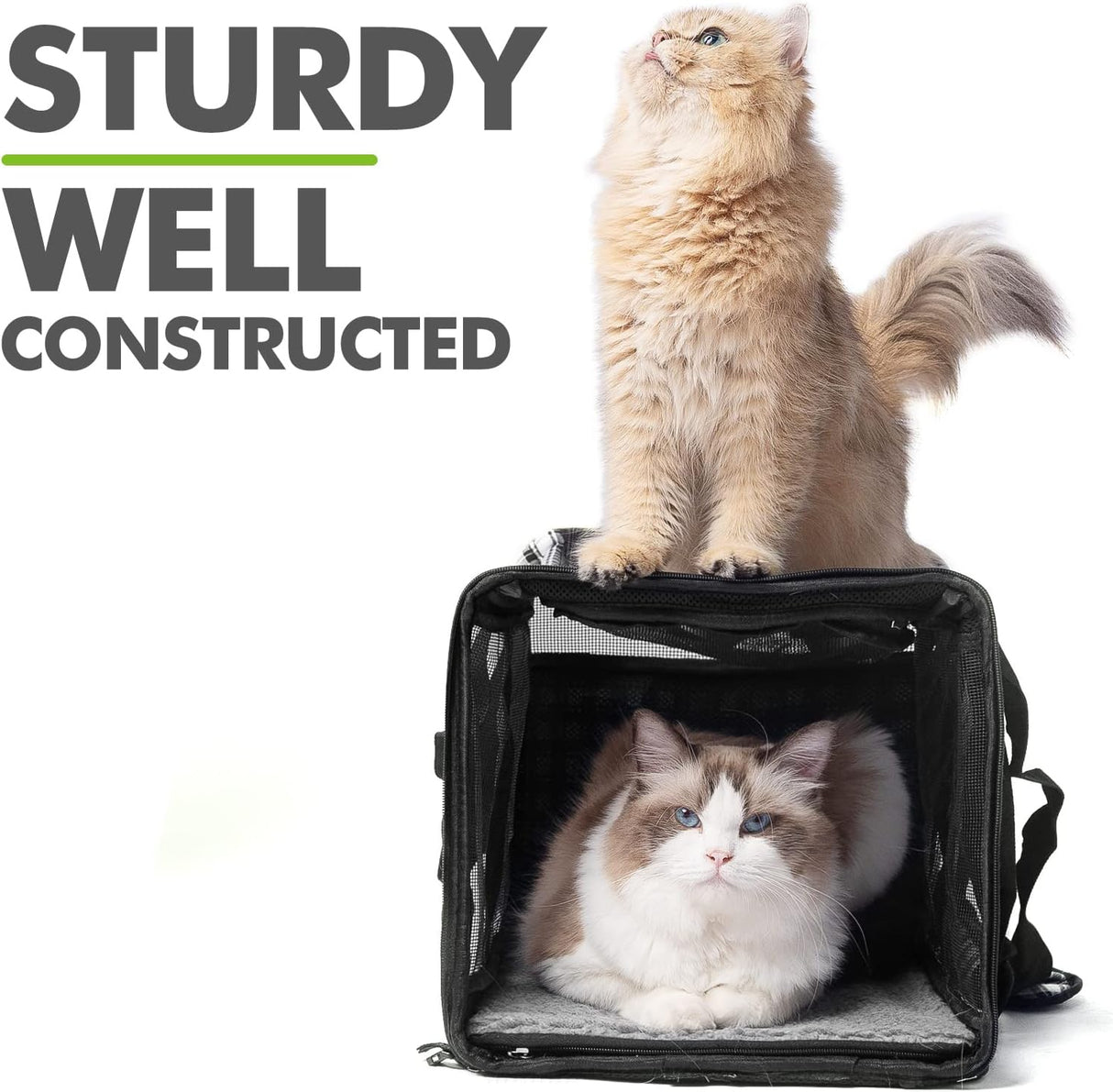 Transportadora para Gatos EXPAWLORER, Suave, Aprobada Aerolínea