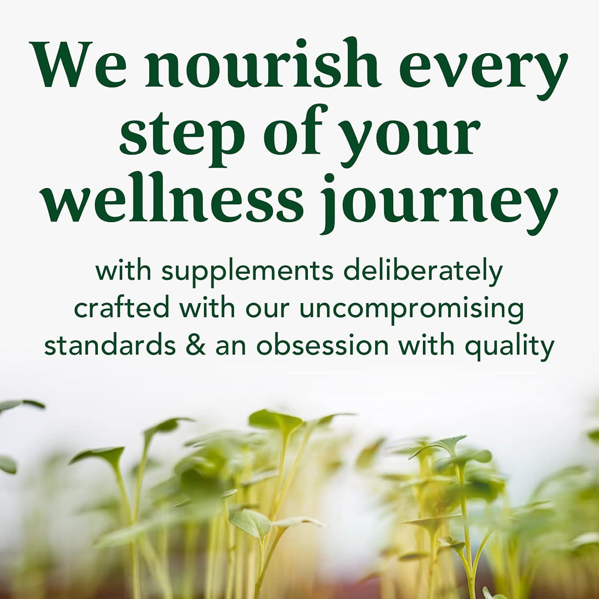 Suplemento Enzimas digestivas bromelina para salud intestina