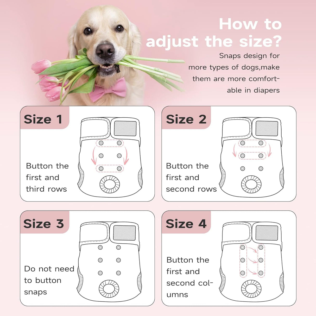 Paw Legend - Pañales reutilizables para perro hembra, 3 unidades