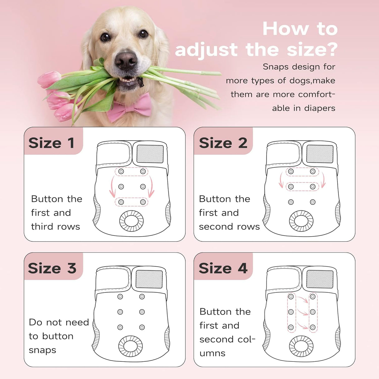 Paw Legend - Pañales reutilizables para perro hembra, 3 unidades