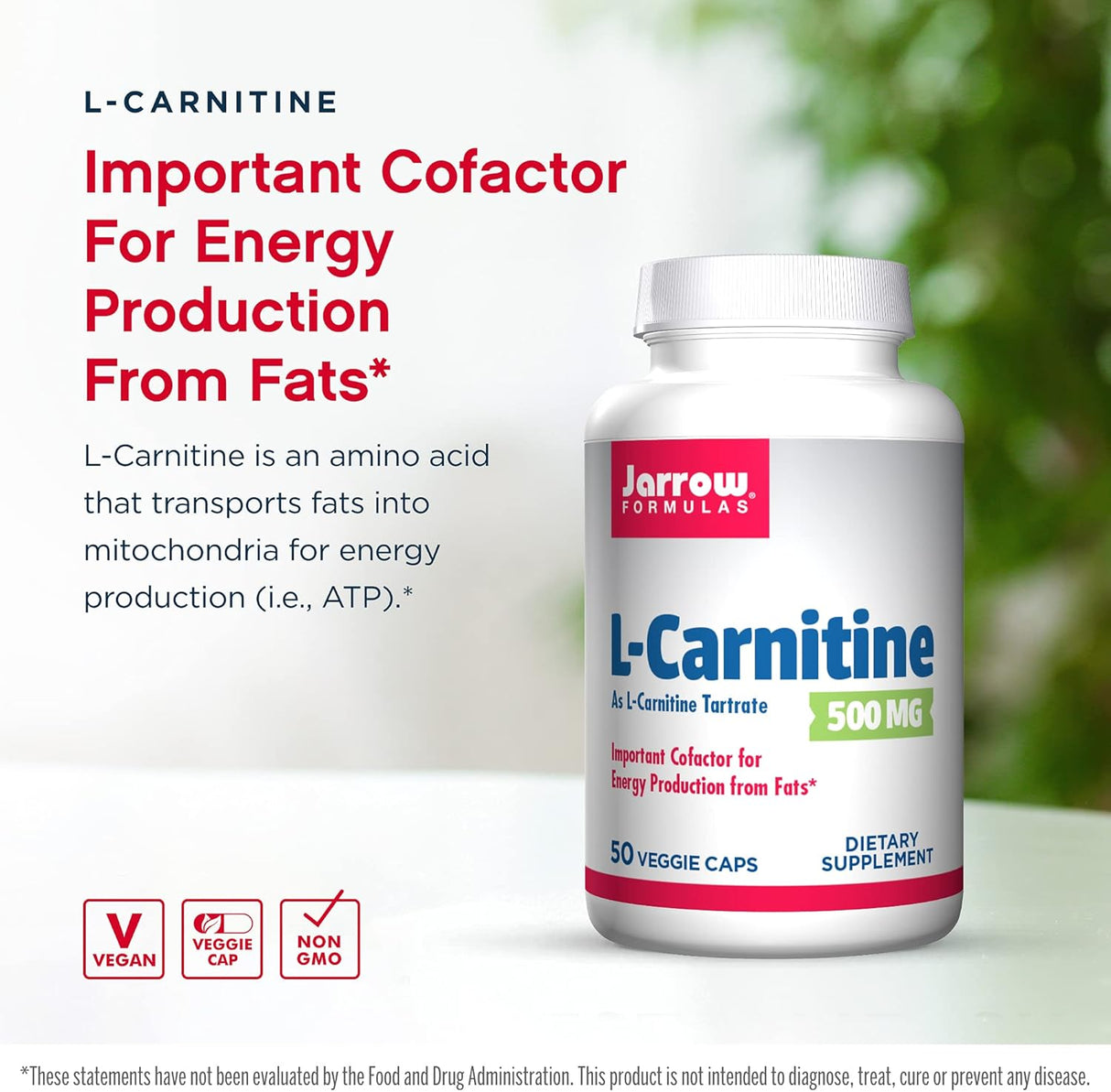 Suplementos Alimenticios Tartrato de L-Carnitina