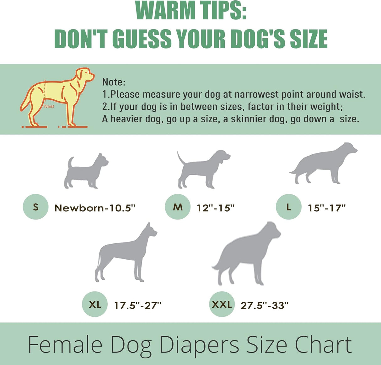 wegreeco Pañales lavables para perras (paquete de 3), pañales