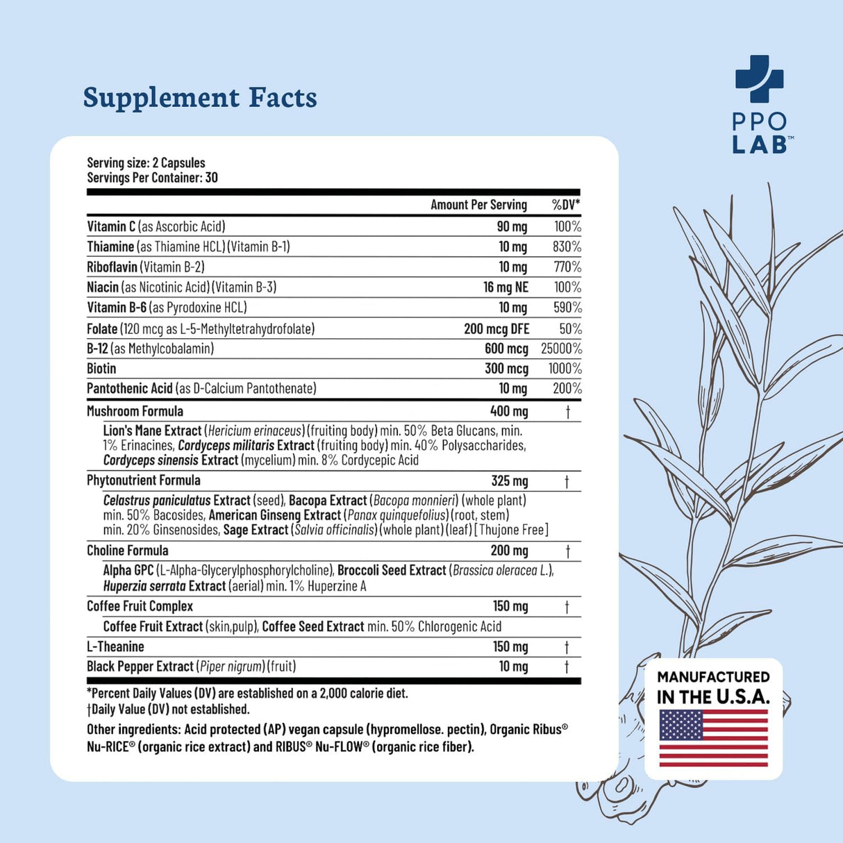 Soporte Cerebral Nootrópico, Memoria y Enfoque, Cápsulas Veganas