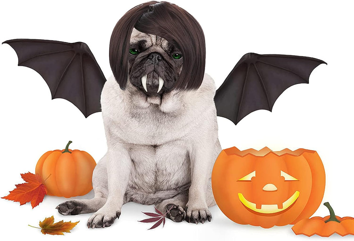 Cobee Divertida peluca de cosplay para perros y gatos, peluca ajustable para mascotas, disfraz divertido para mascotas, disfraz para perros pequeños, medianos y grandes, decoraciones de disfraces para Halloween, Navidad, fiestas, festivales