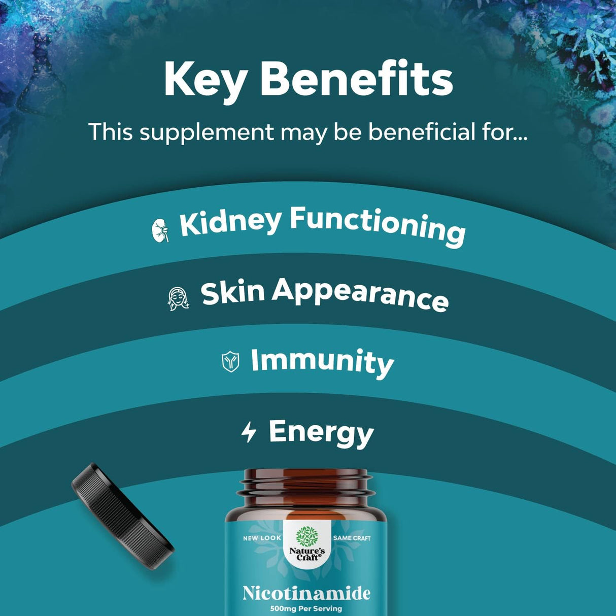 Suplemento Vitamina B3 Nicotinamida 500 mg 60 unidades