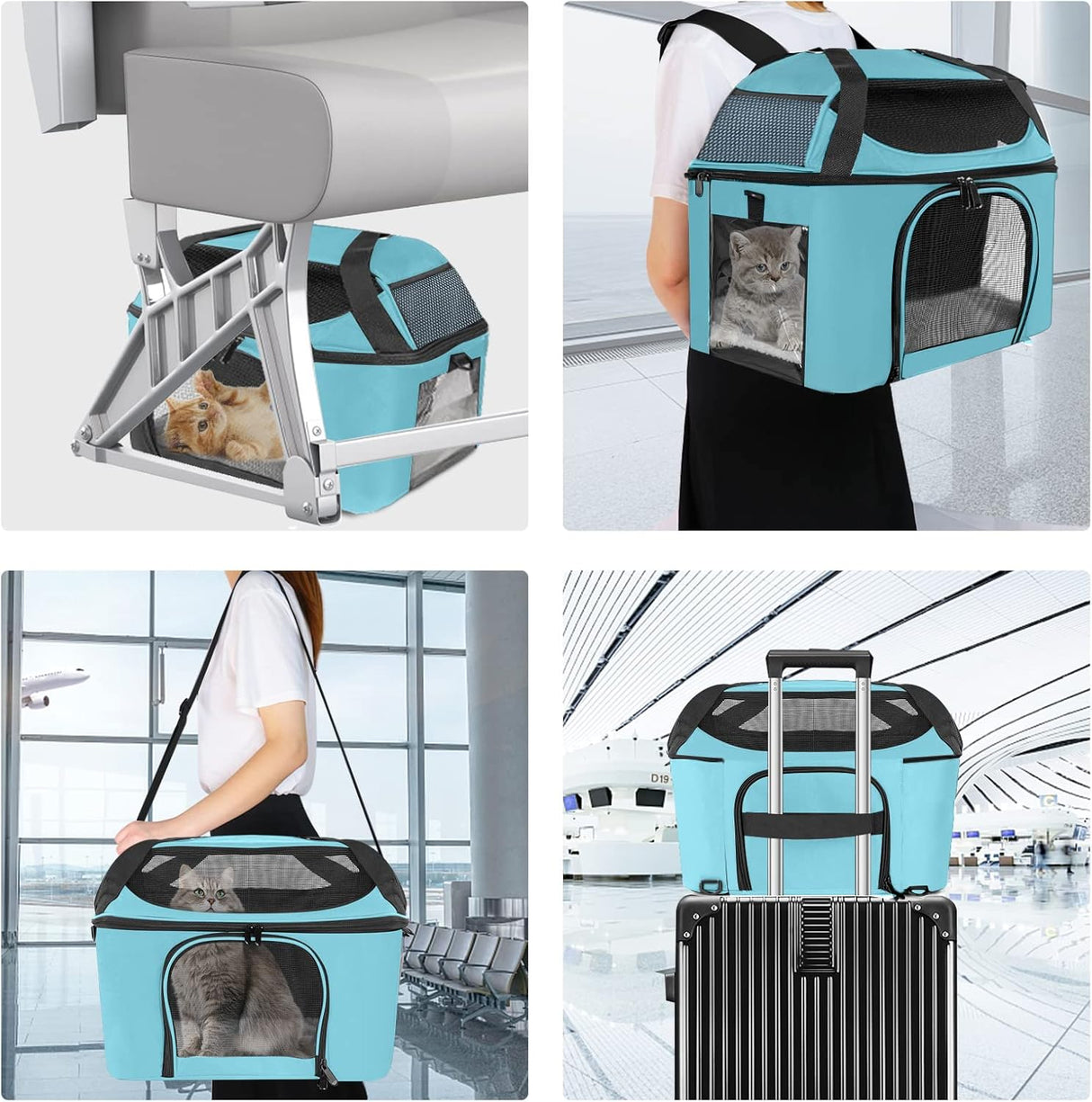 Transportadora grande para 2 gatos, Oeko-TEX, certificada, TSA