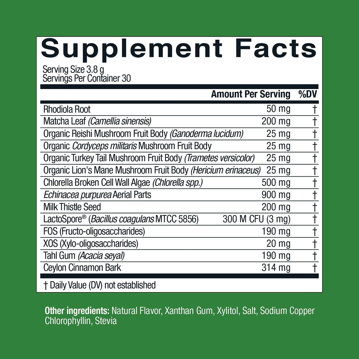 Suplemento Live Conscious Beyond Greens Superfood Powder