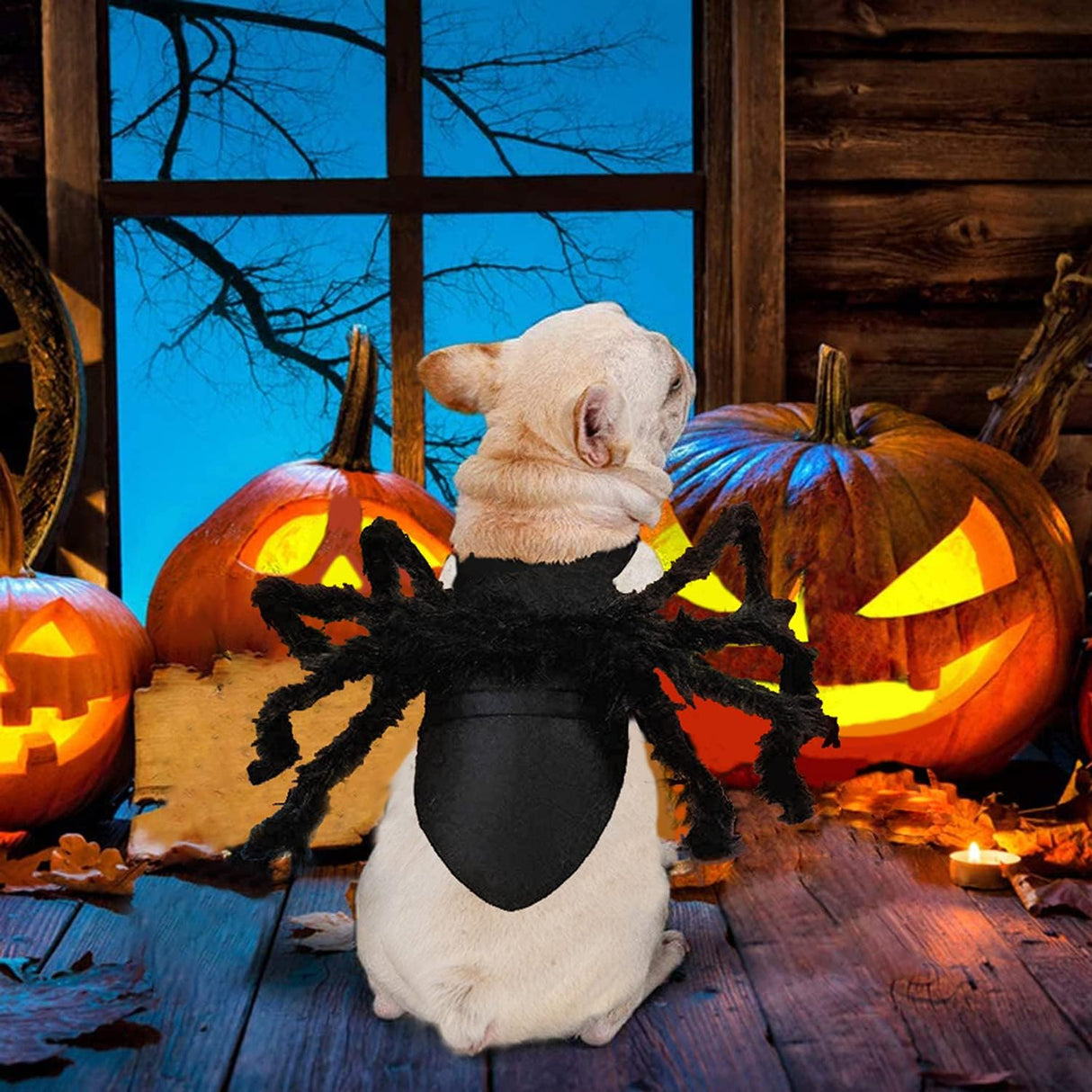 Disfraces de araña de Halloween para perro talla S