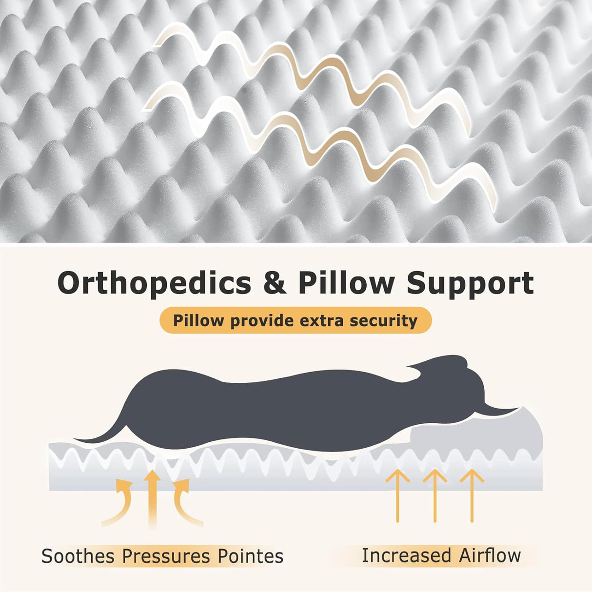 Cama para humanos SWITTE, tamaño grande, 71x47x13, lavable