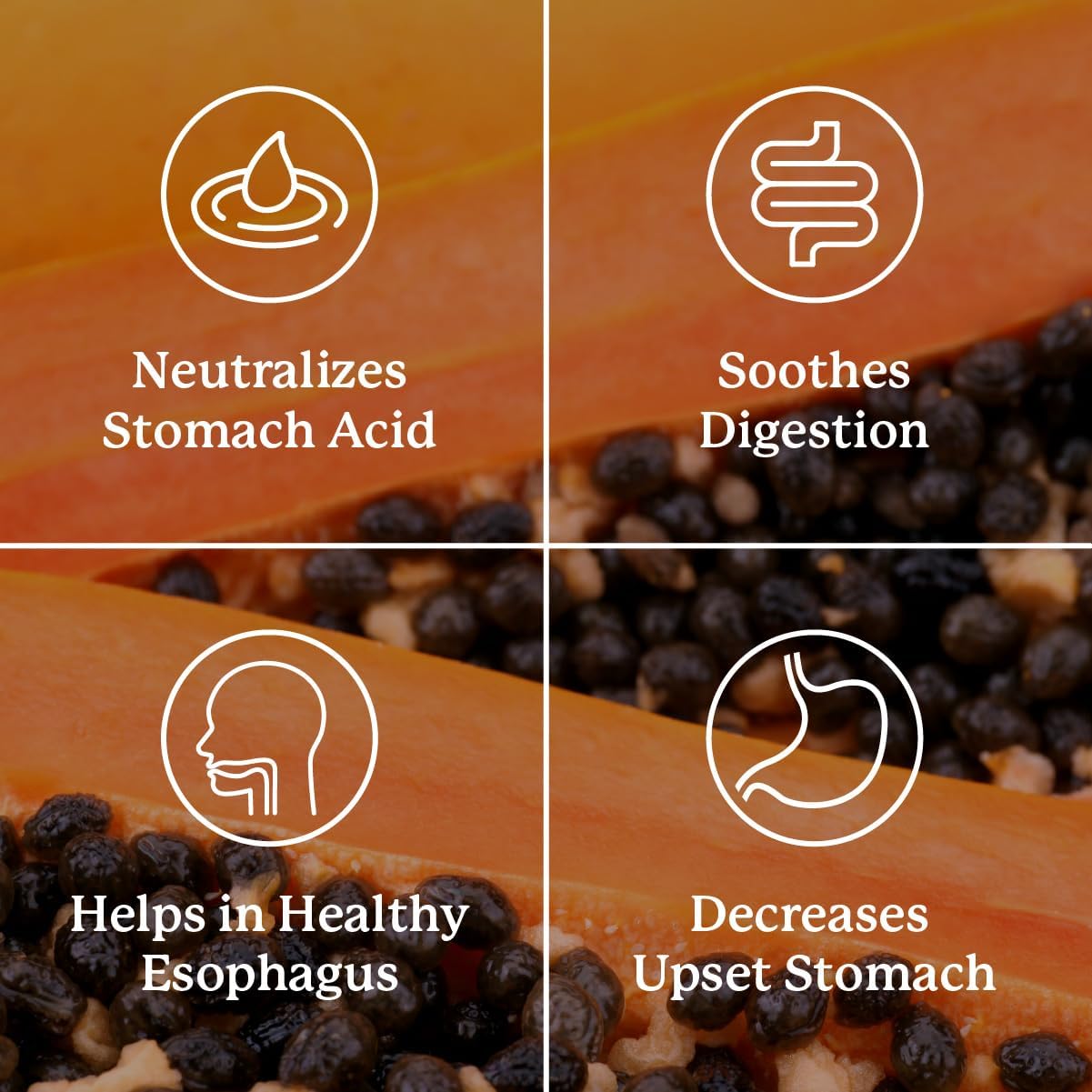 Suplementos Estomacal 60 Tabletas Masticables Ayuda Digestiva