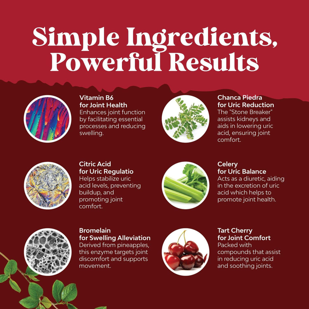 Limpieza Renal y Desintoxicación de Ácido Úrico con Cereza