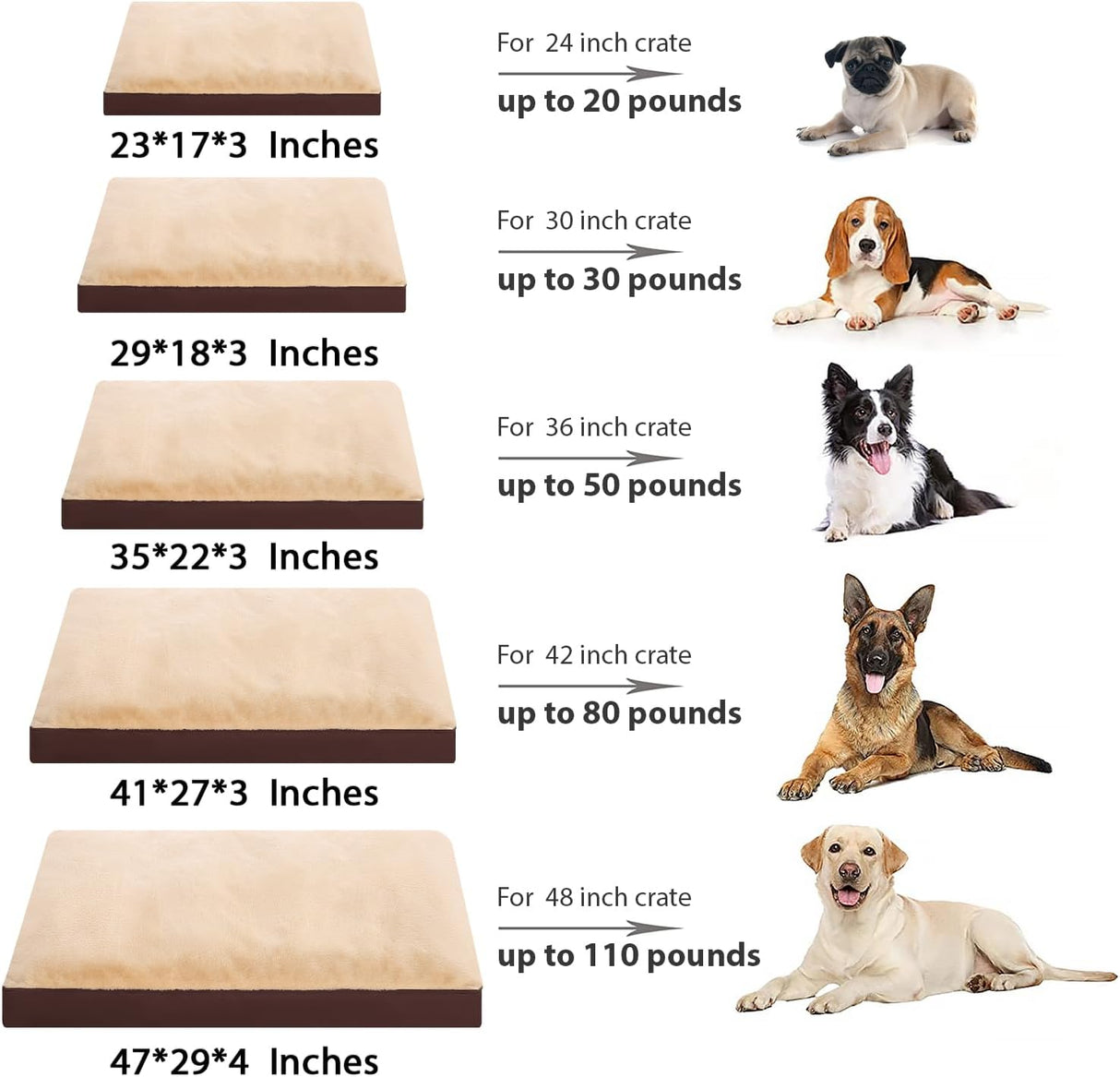 Cama para perro impermeable Deluxe Plush 35x22 pulgadas