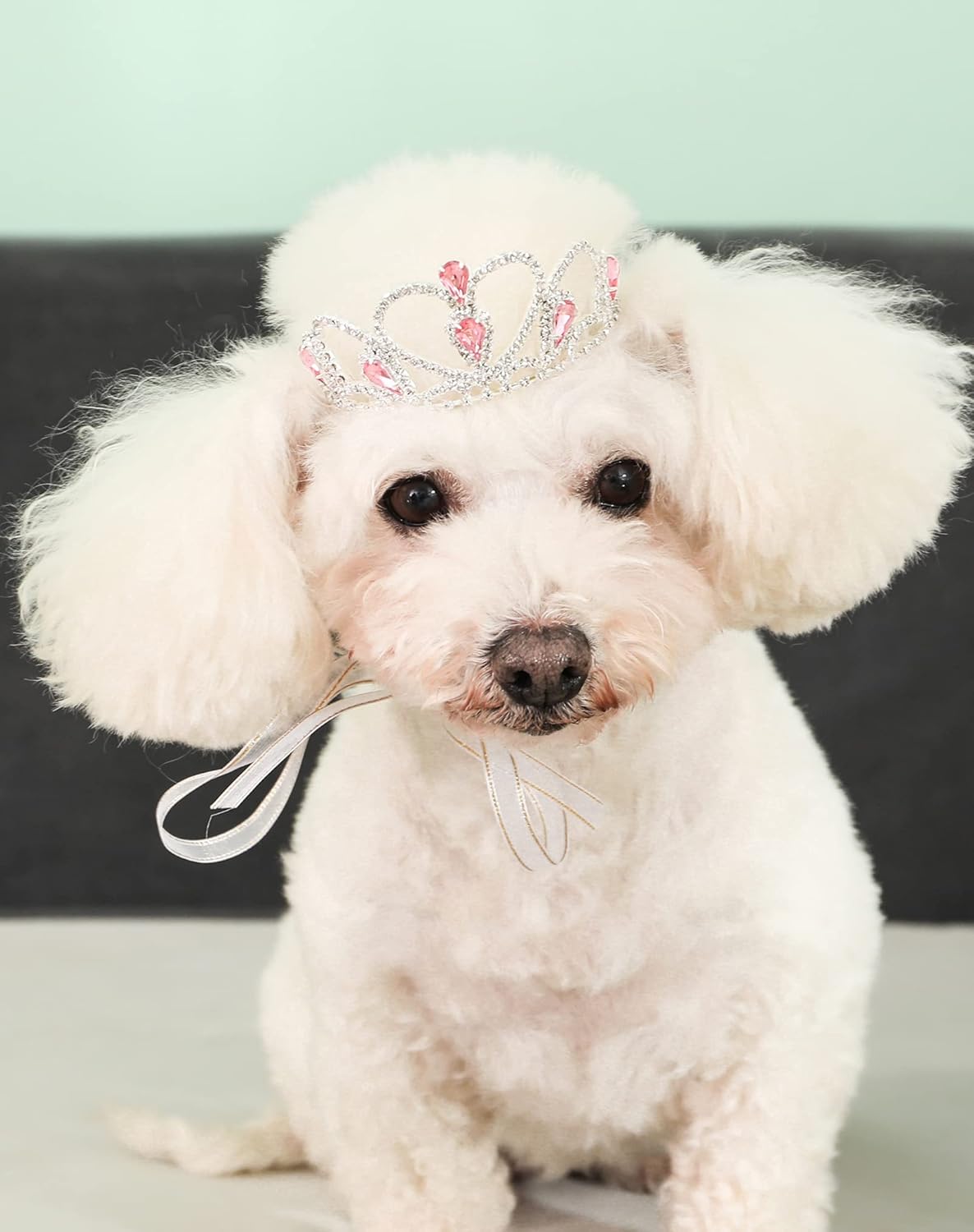 Disfraces de Tiara de diamantes de imitación talla M