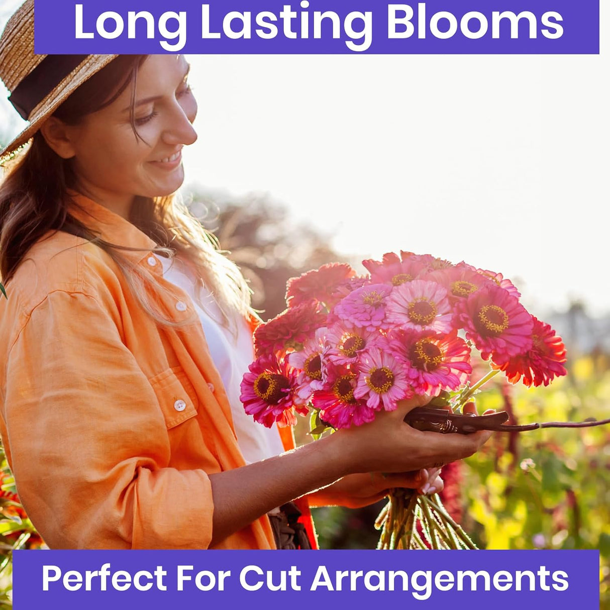 Semillas de Zinnia NatureZ, Pumila Mix, 4.2 g, al aire libre