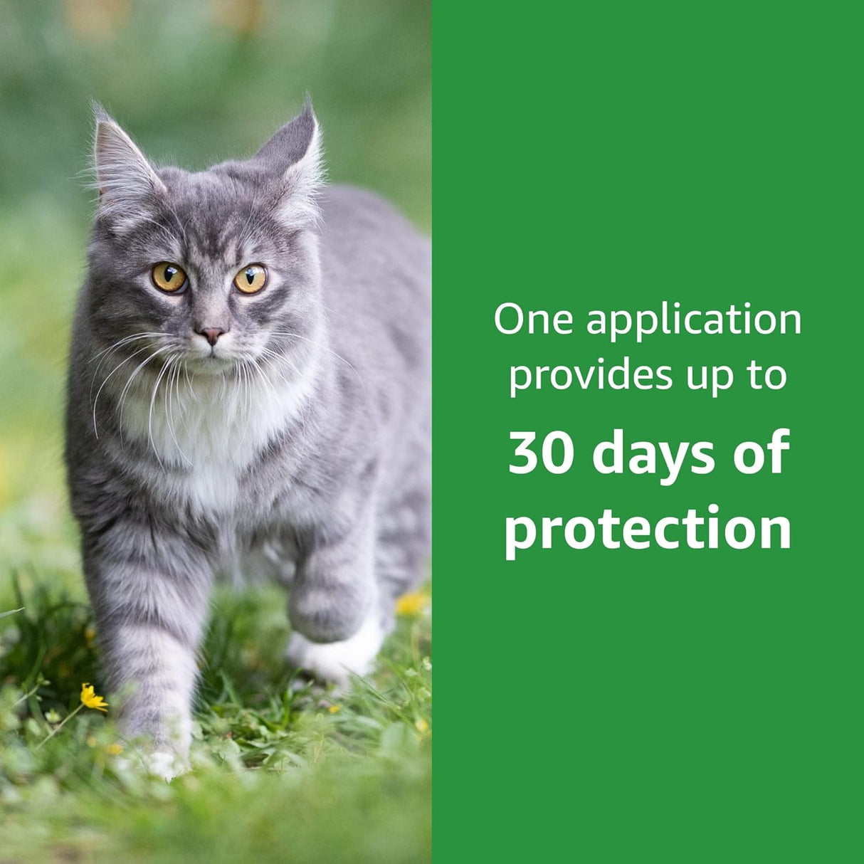 Tratamiento de pulgas y garrapatas para gatos 6 unidades