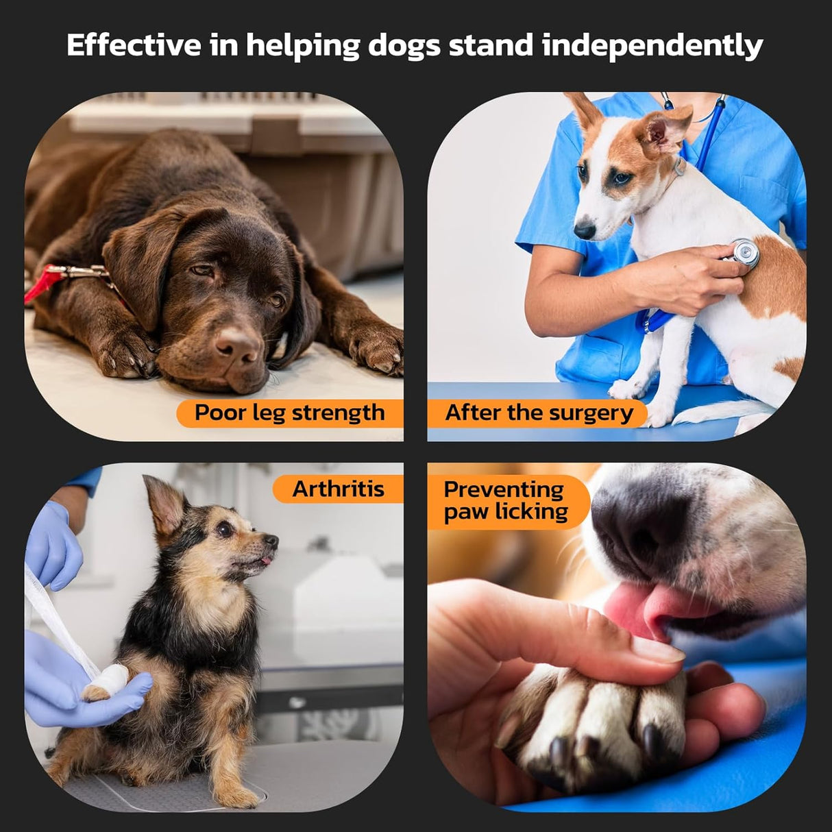 Protector Antideslizante para Patas de Perro, M (11-20lbs)