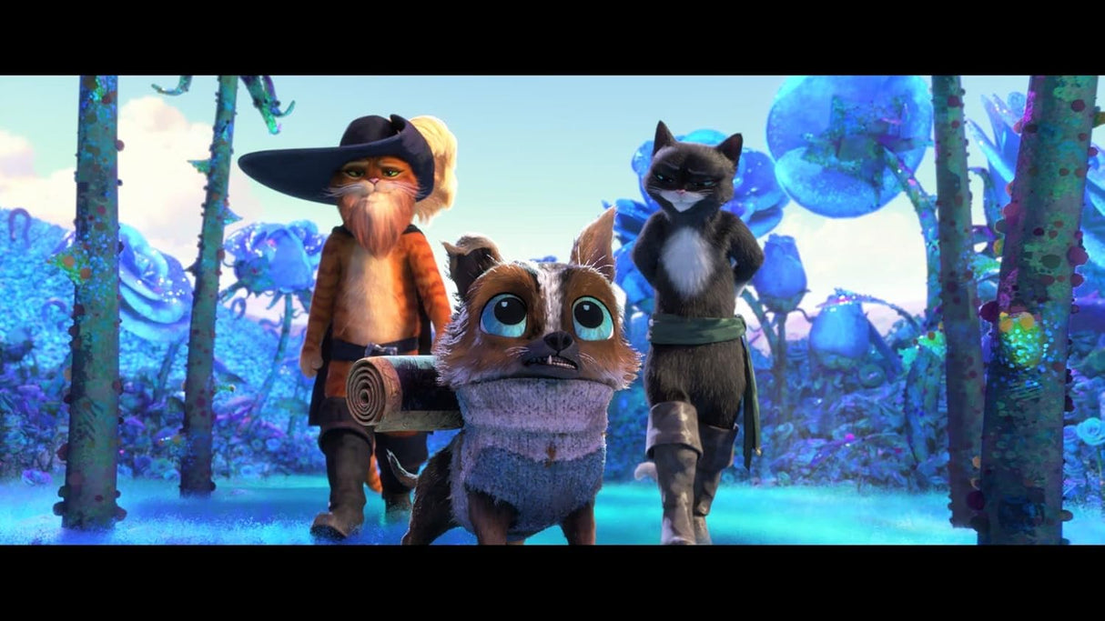 Puss in Boots: The Last Wish(Blu-Ray + DVD + Digital)