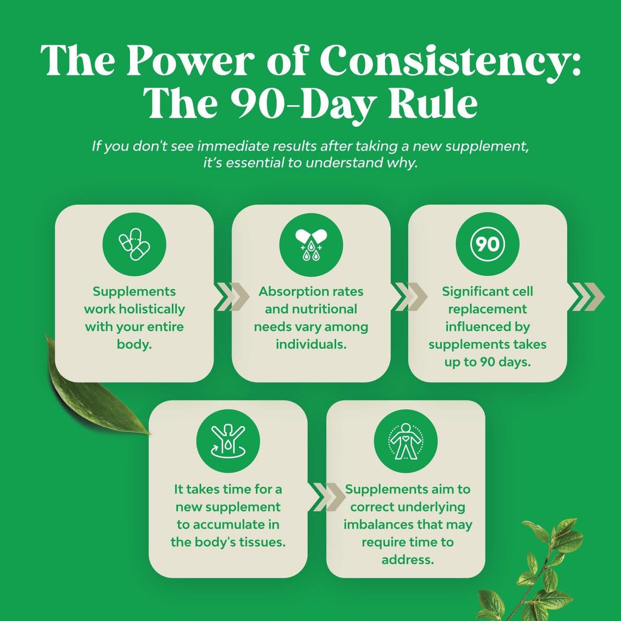 Suplemento de apoyo hepático de cardo mariano de hígado