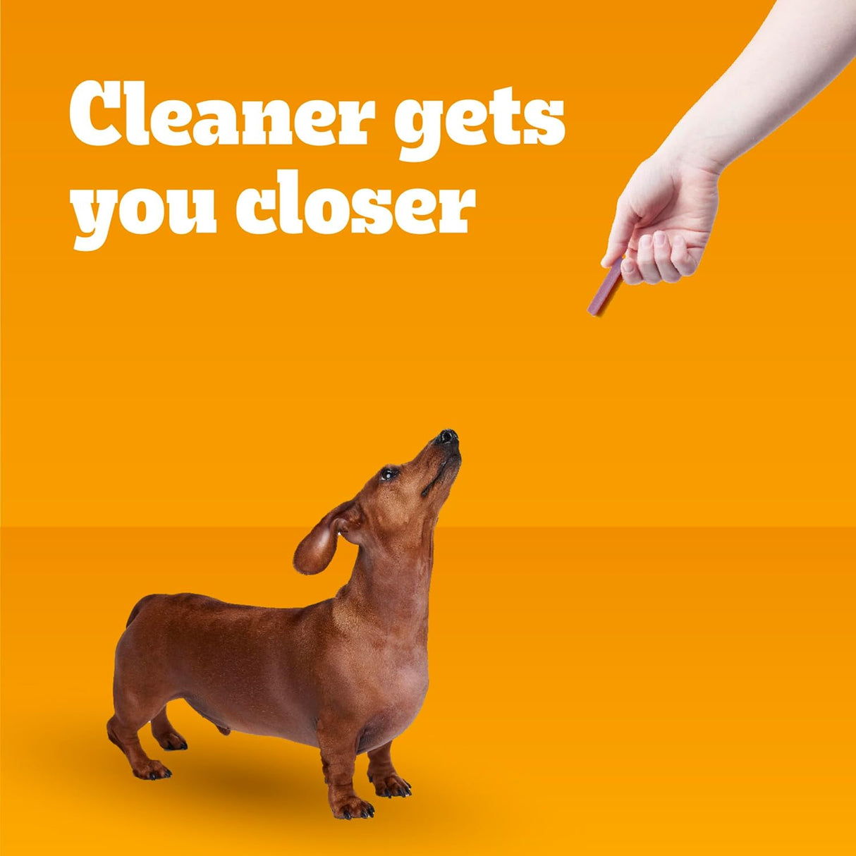 Dentastix Sabor Doble para Perros Pequeños, Pedigree, 24 Treats