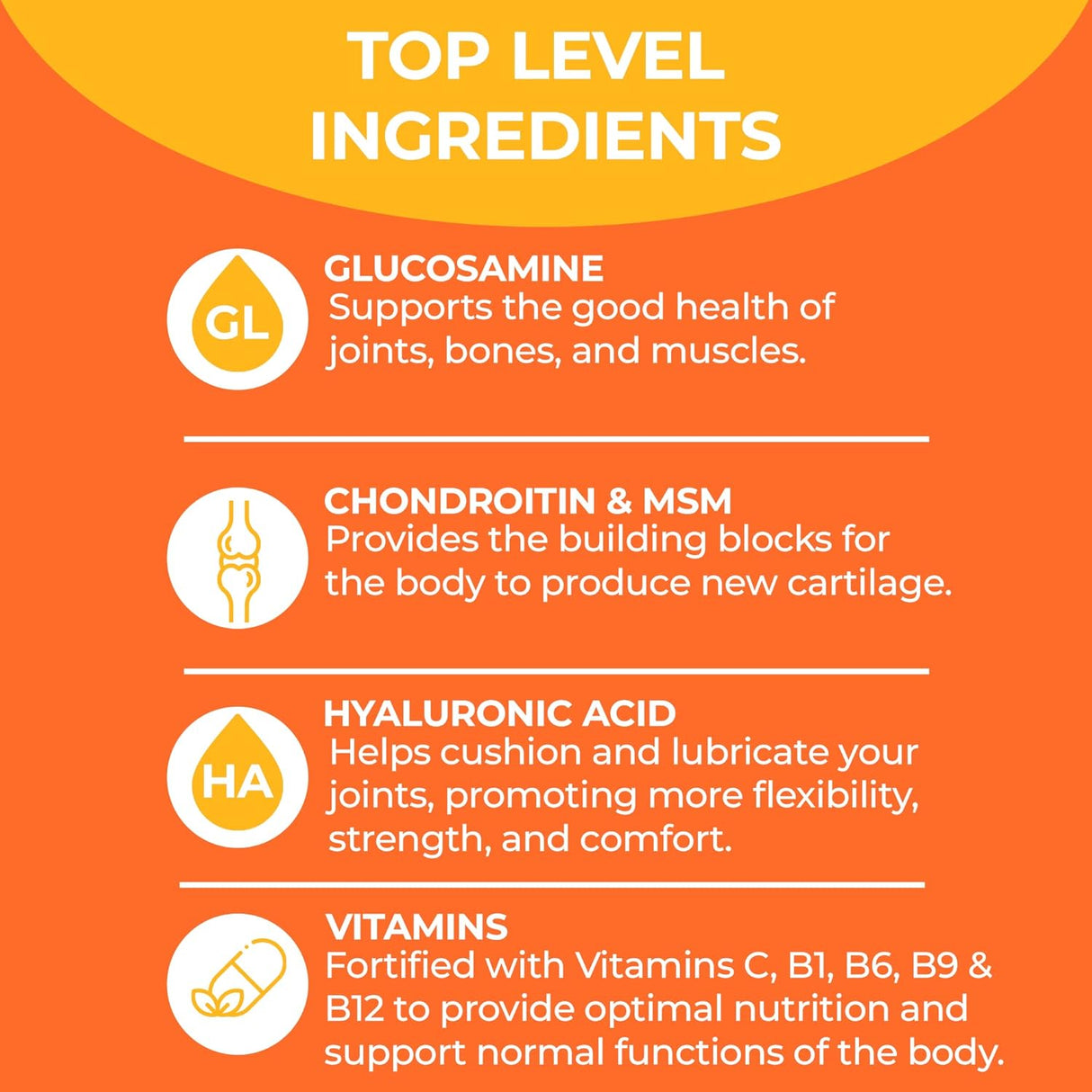 BIOTOPLEVEL Glucosamina líquida condroitina