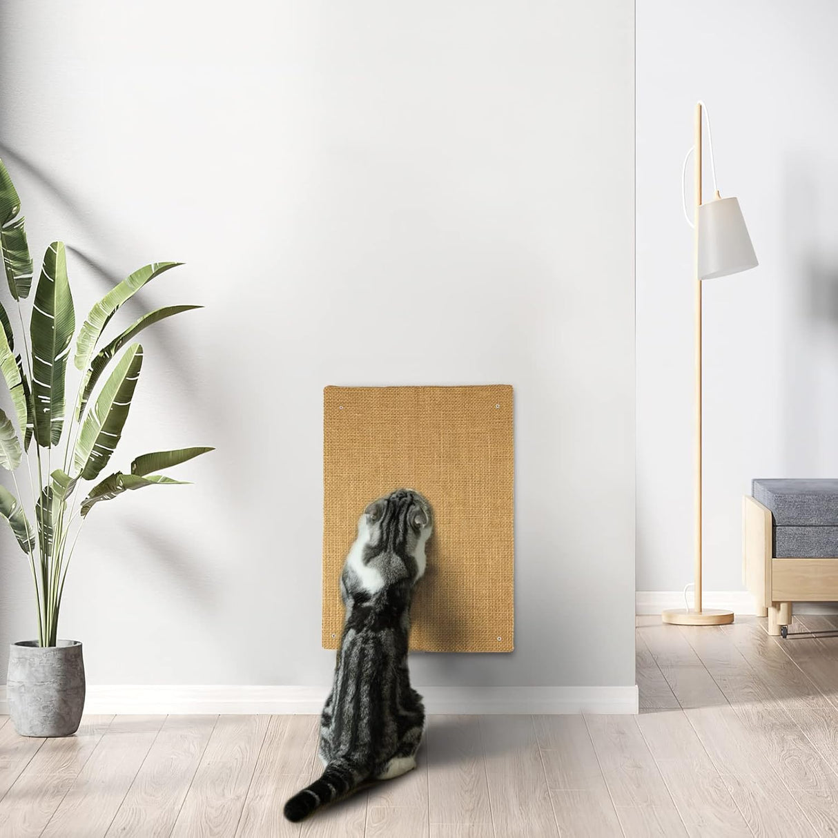 Rascador 2 tablas de rascar plegables para gatos