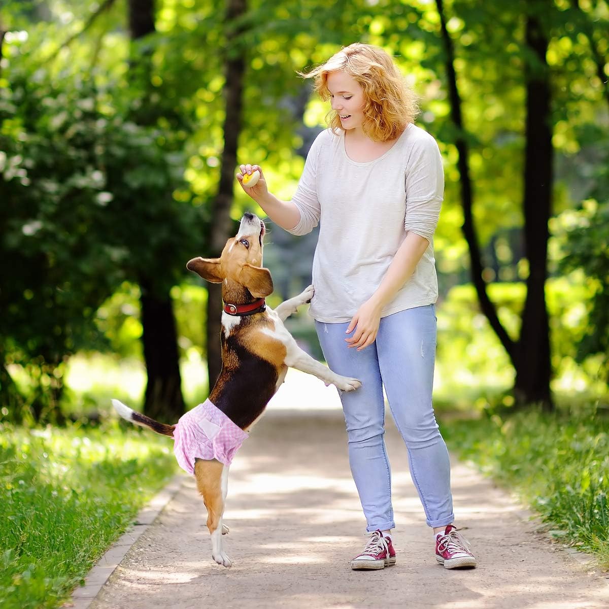 Pet Soft Pañales para perros femeninos –12 piezas (XS, rosa)