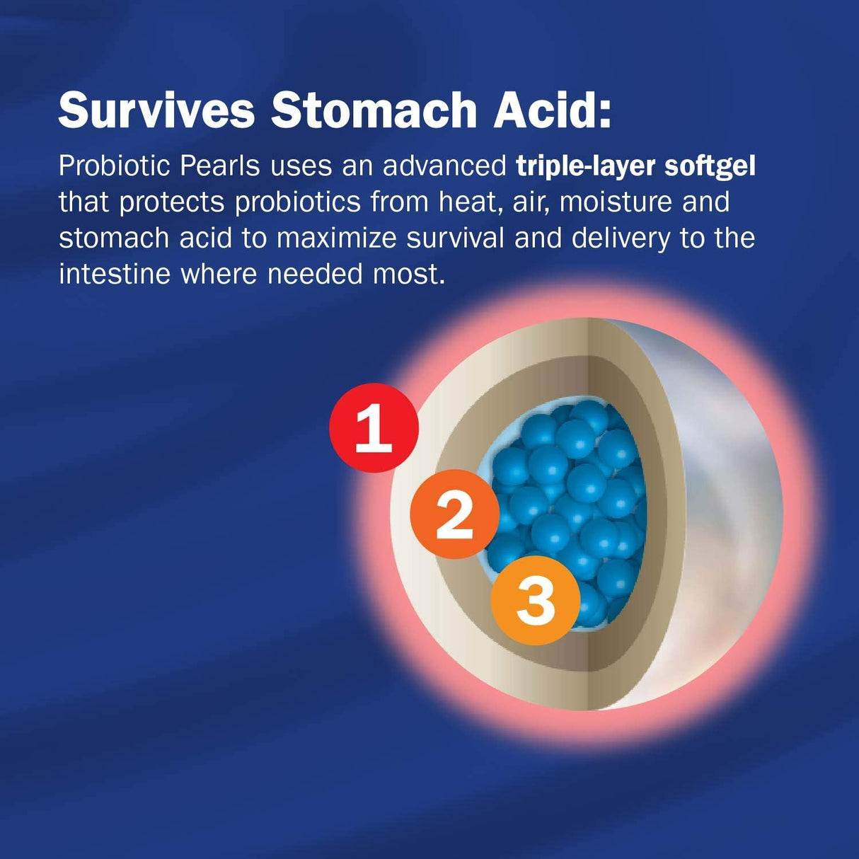 Suplementos Alimenticios Enzimática