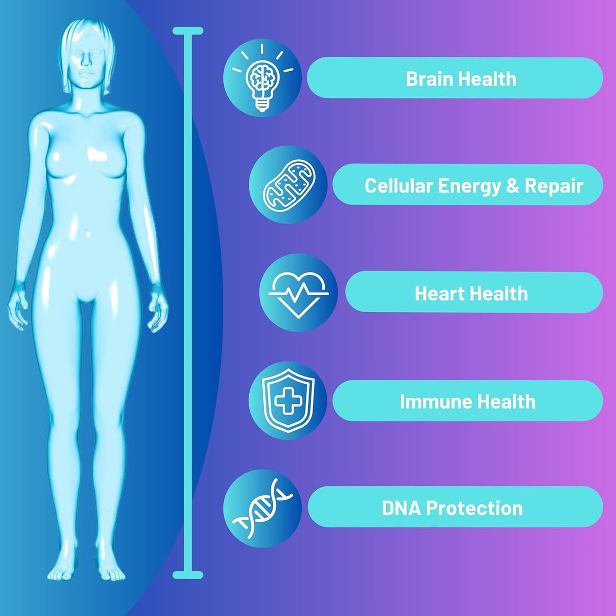 Suplemento NAD con Ribosido de Nicotinamida y RiboYOUNG™