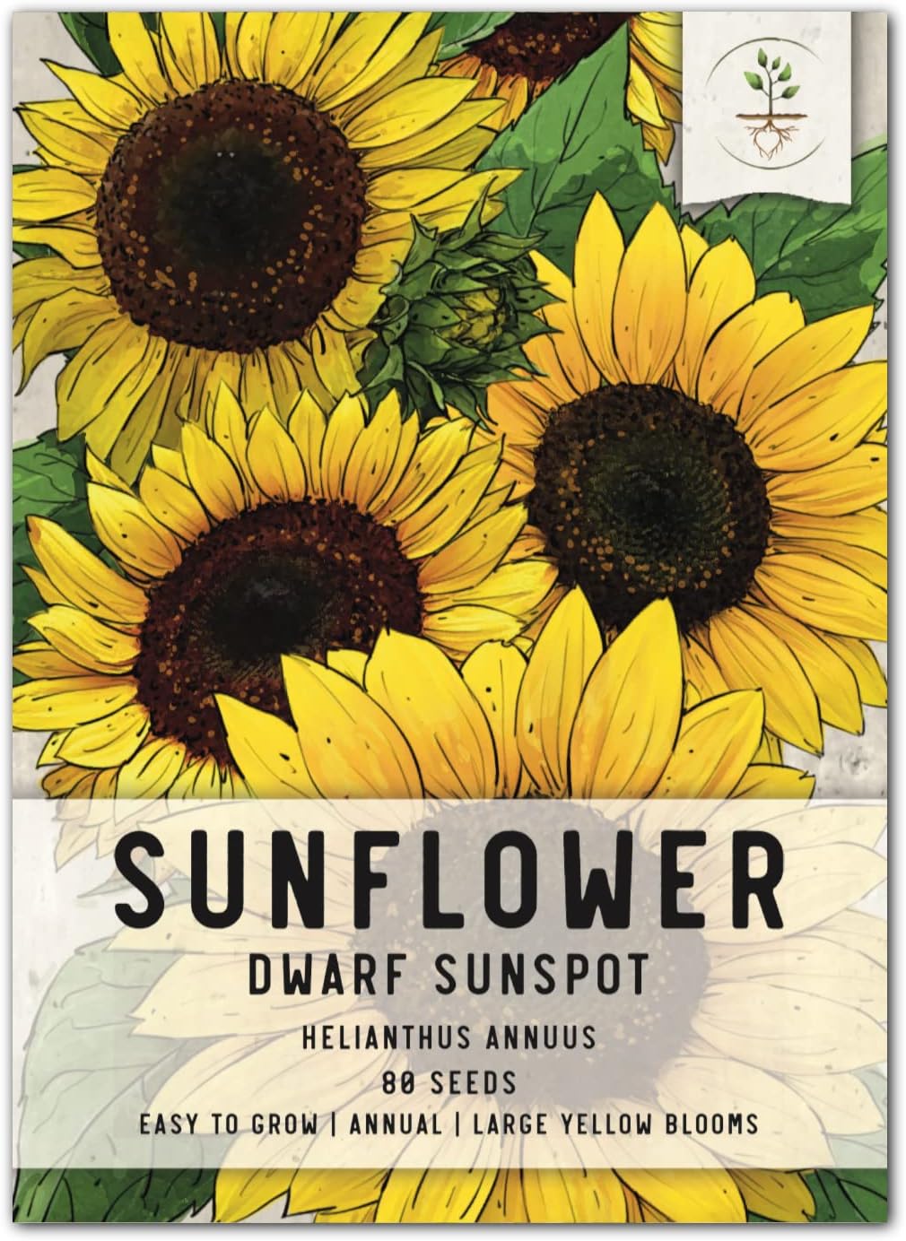 Semillas de Girasol Dwarf Sunspot - Seed Needs, 80 Heirloom