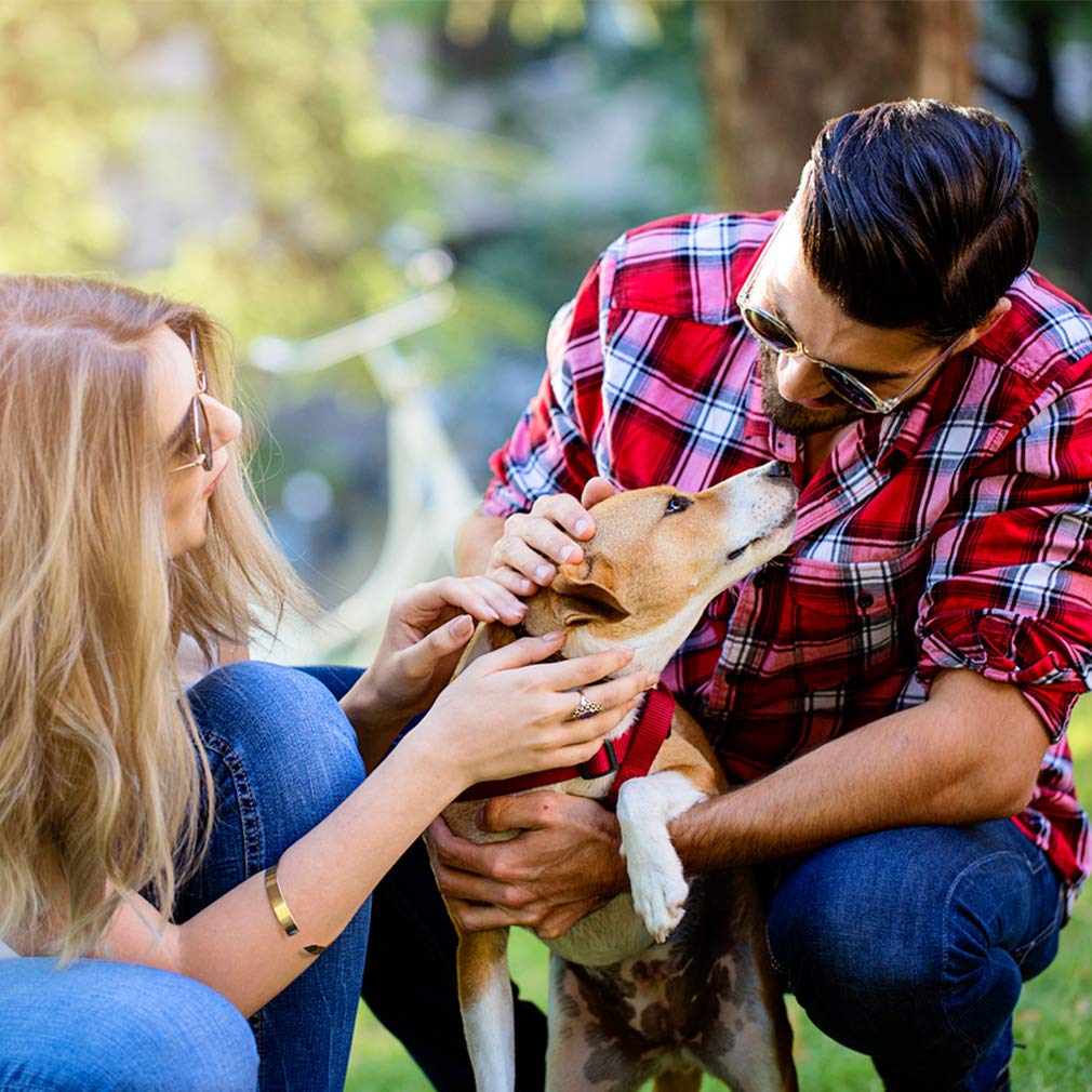 Carrito de mascotas BestPet, plegable y portátil para viajes