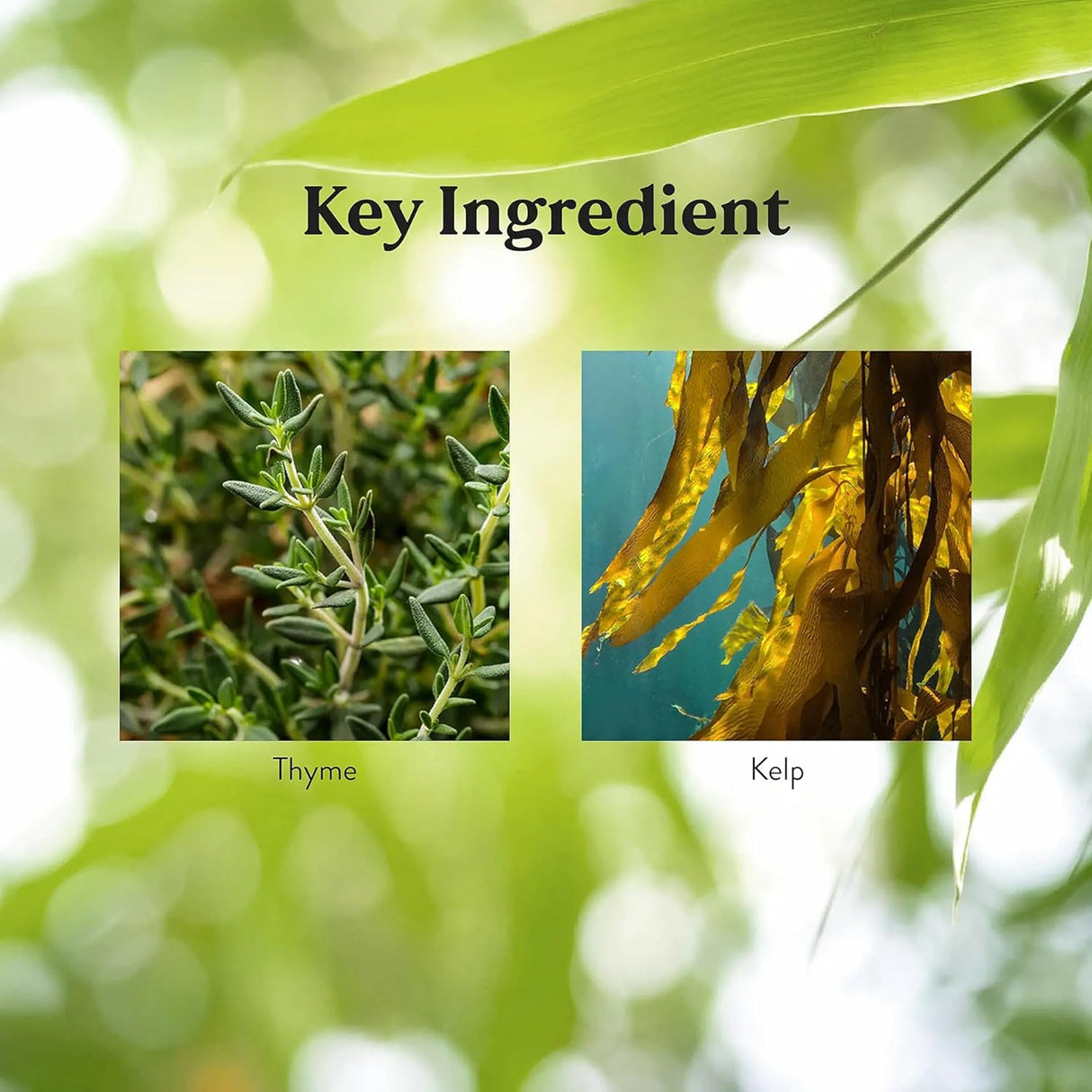 Suplemento Zinc 25 mg