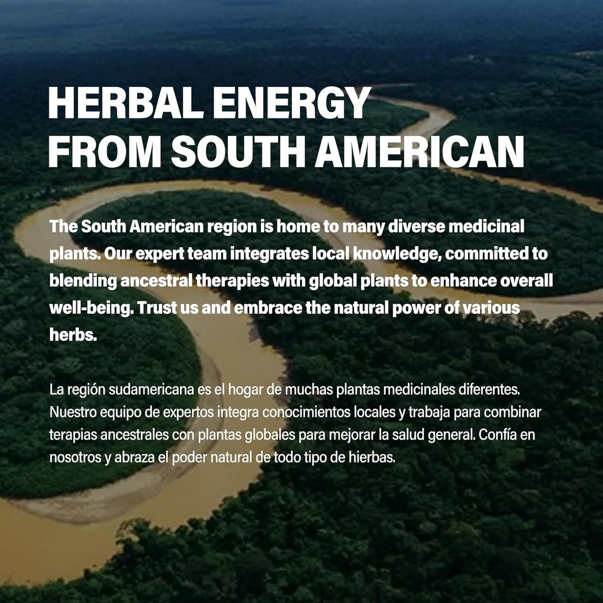 Suplemento melena de León, Equináce para Memoria e Inmunidad