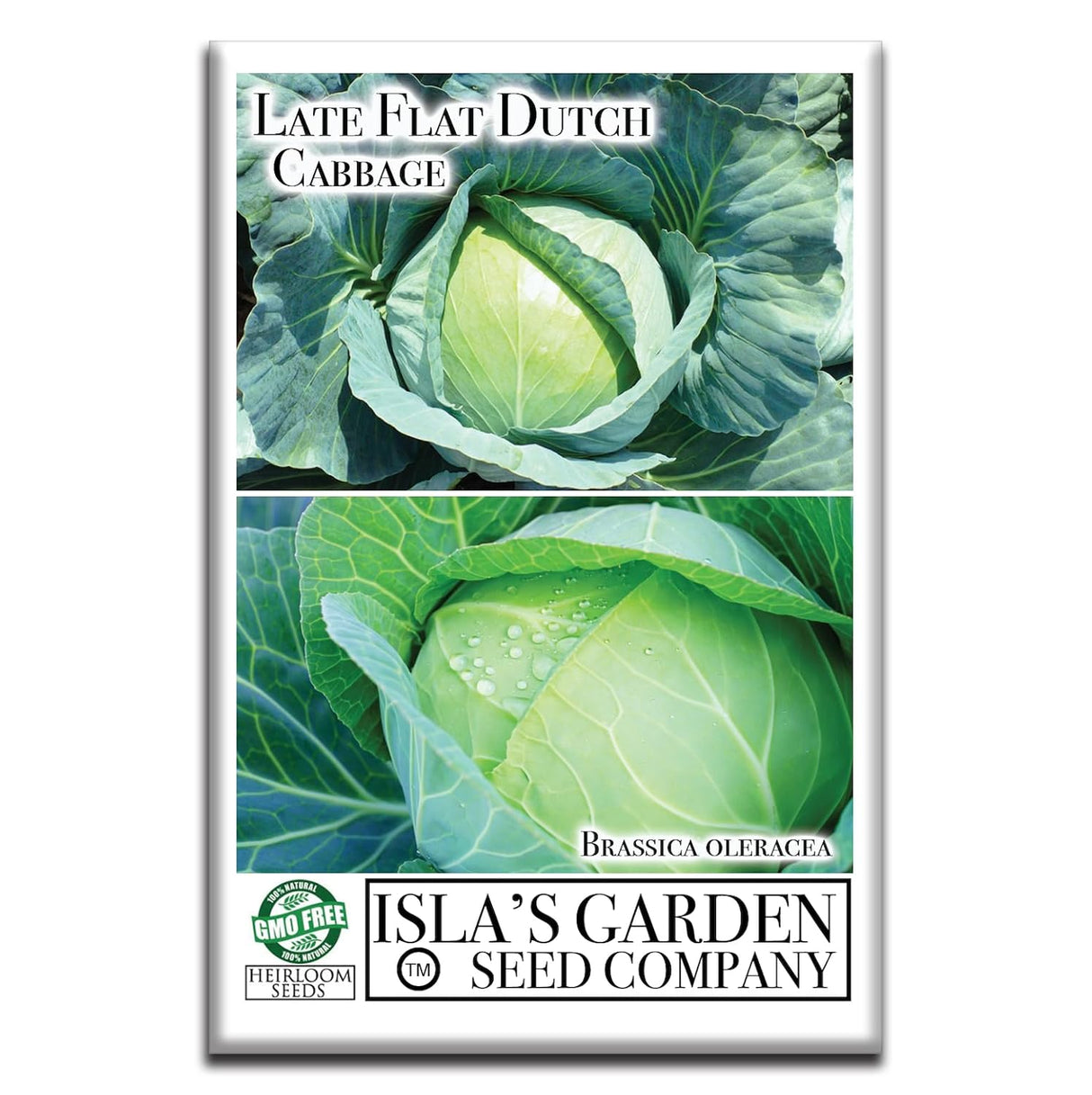 Semillas de Repollo Late Flat Dutch, Isla's Garden, Heirloom