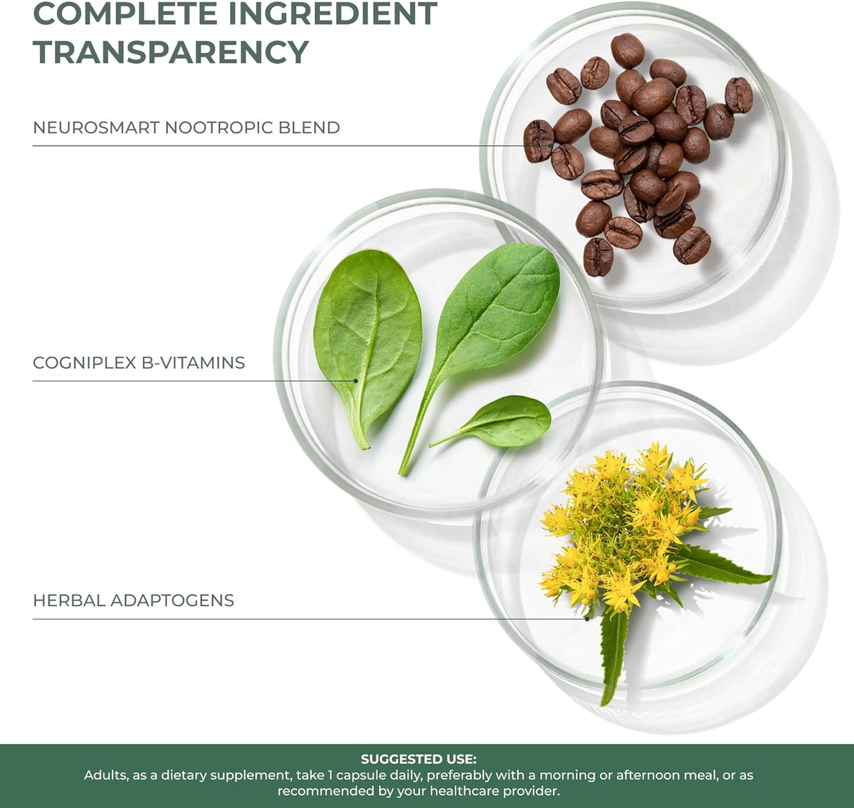Suplemento Cerebral: Enfoque, Energía y Claridad - Primal Mind Fuel