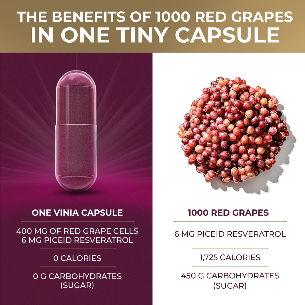 Suplementos Alimenticios Resveratrol de piceida de absorción