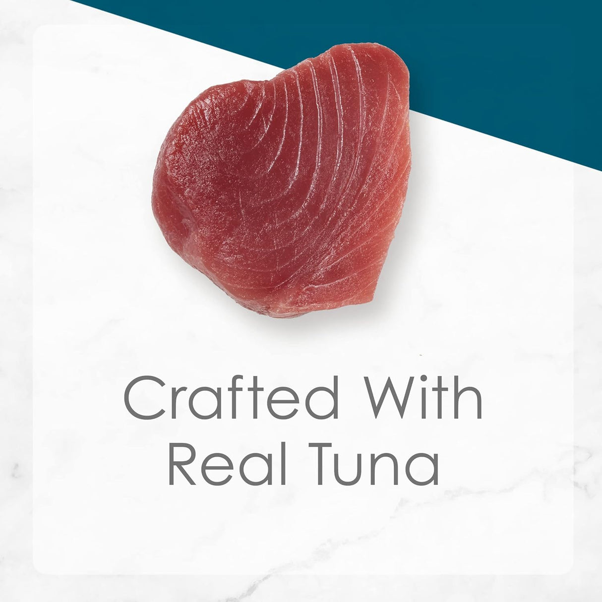 Alimento para Gato enlatada 24 Pack