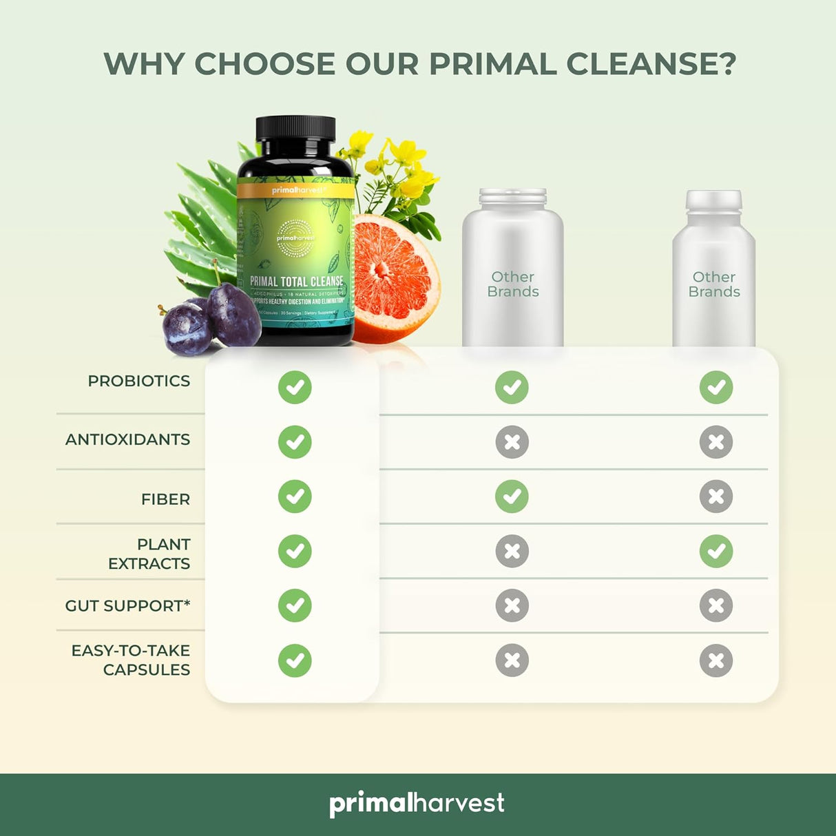 Limpieza de desintoxicación de cuerpo completo