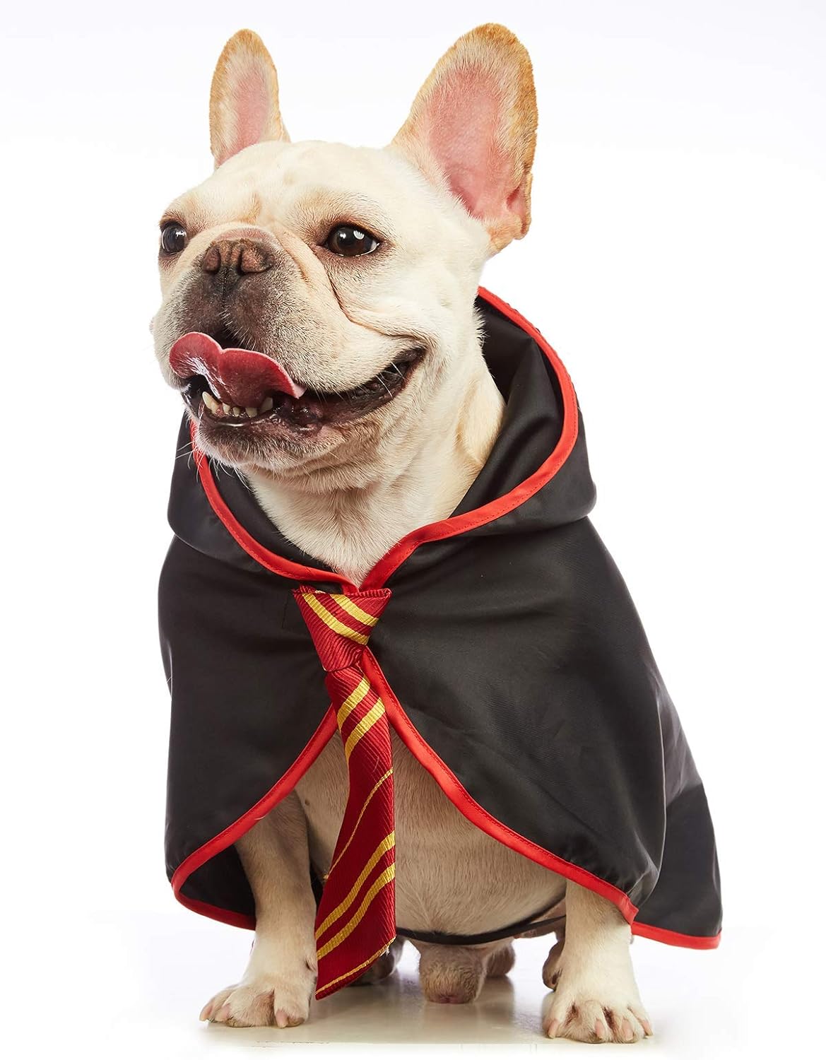 Disfraces Camisas divertidas para perro talla S