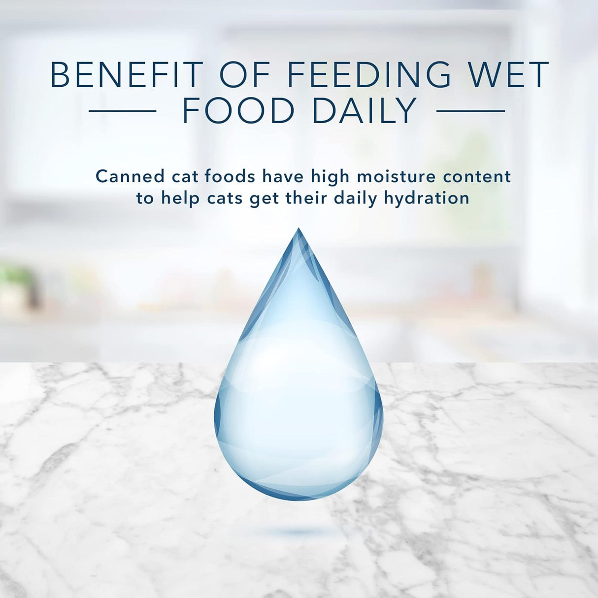 Alimento para Gatos 12 unidades 4 de cada sabo atún, pollo