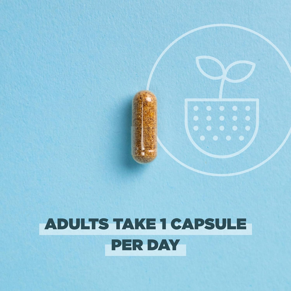 Probióticos regenerativos orgánicos para mujeres +50 años