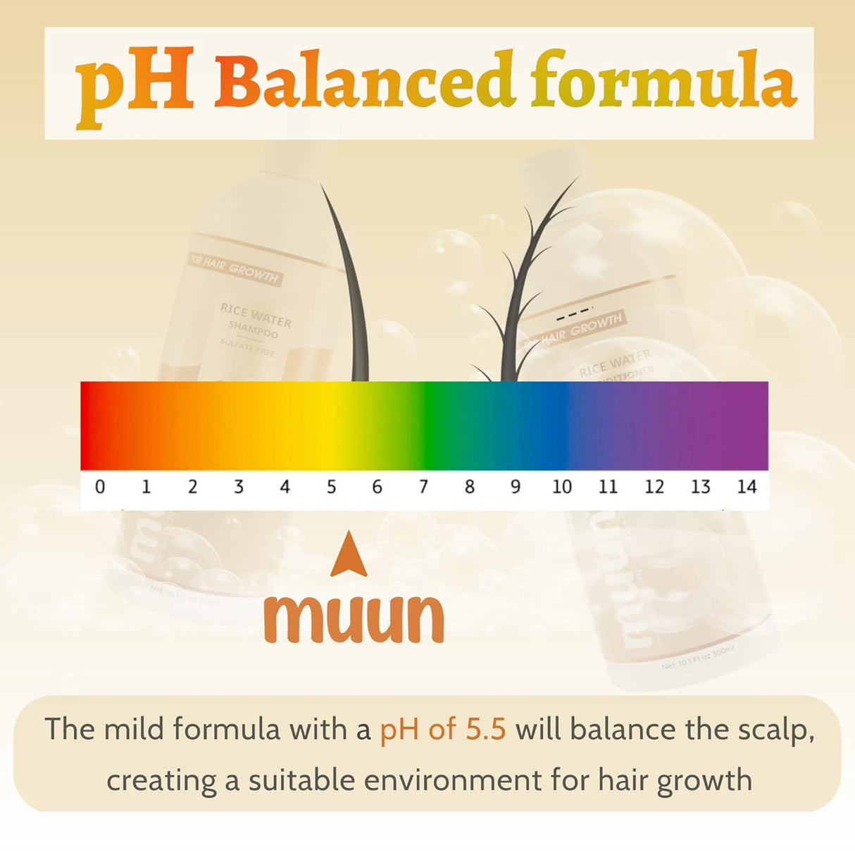 Champú y acondicionador de agua de arroz para el crecimiento
