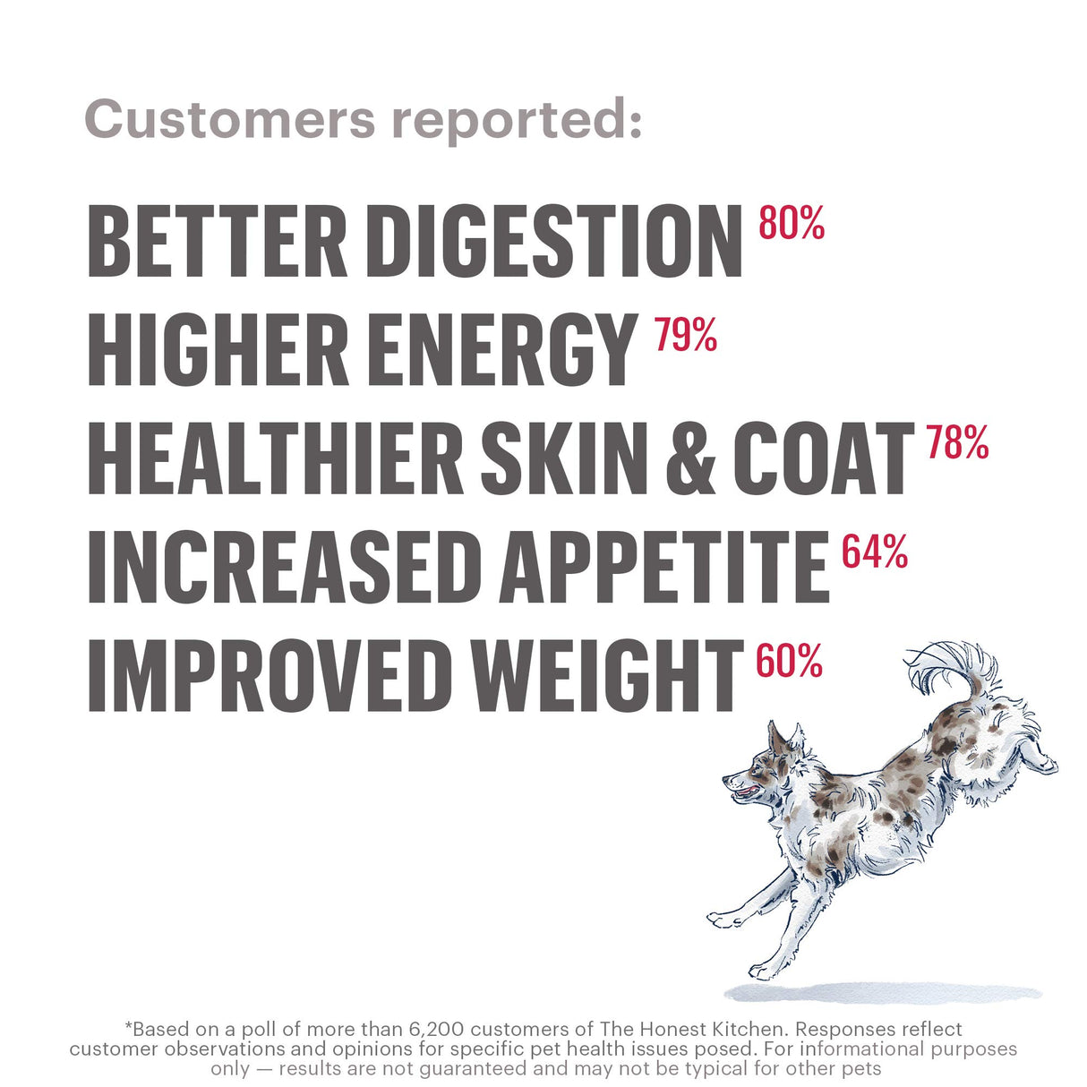 Comida de Perro Deshidratada