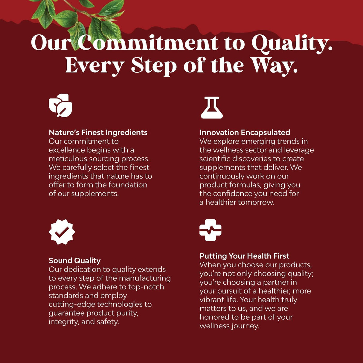 Suplemento Arroz de levadura roja con CoQ10 1200 mg 120u