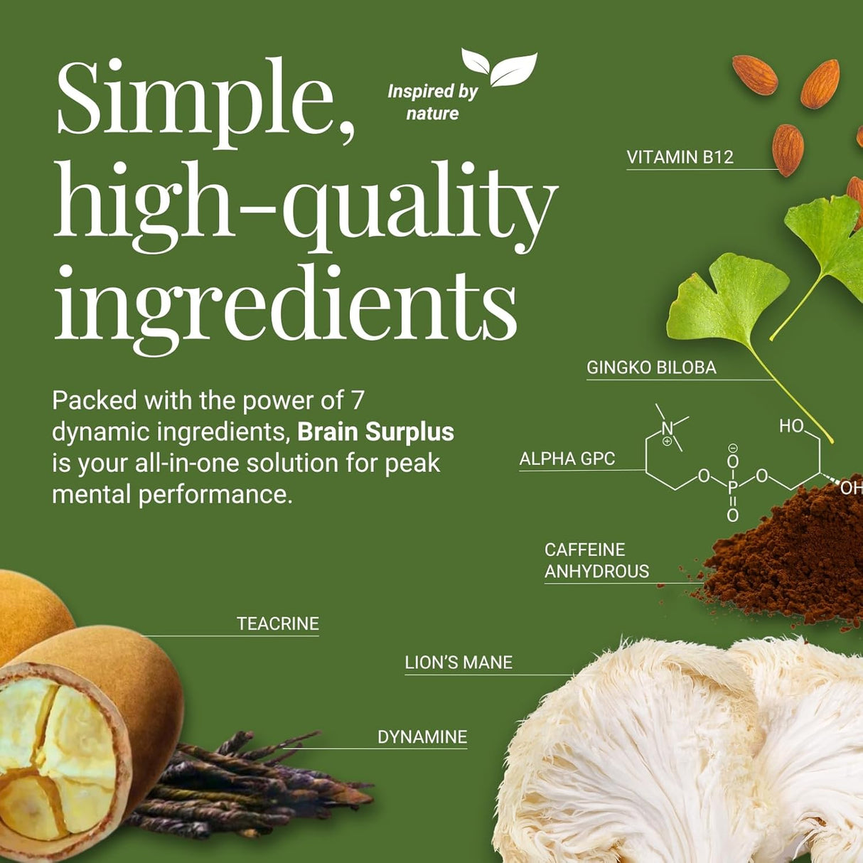 Suplemento Nootrópico: Memoria, Enfoque, Energía, Sin GMO, Vegano