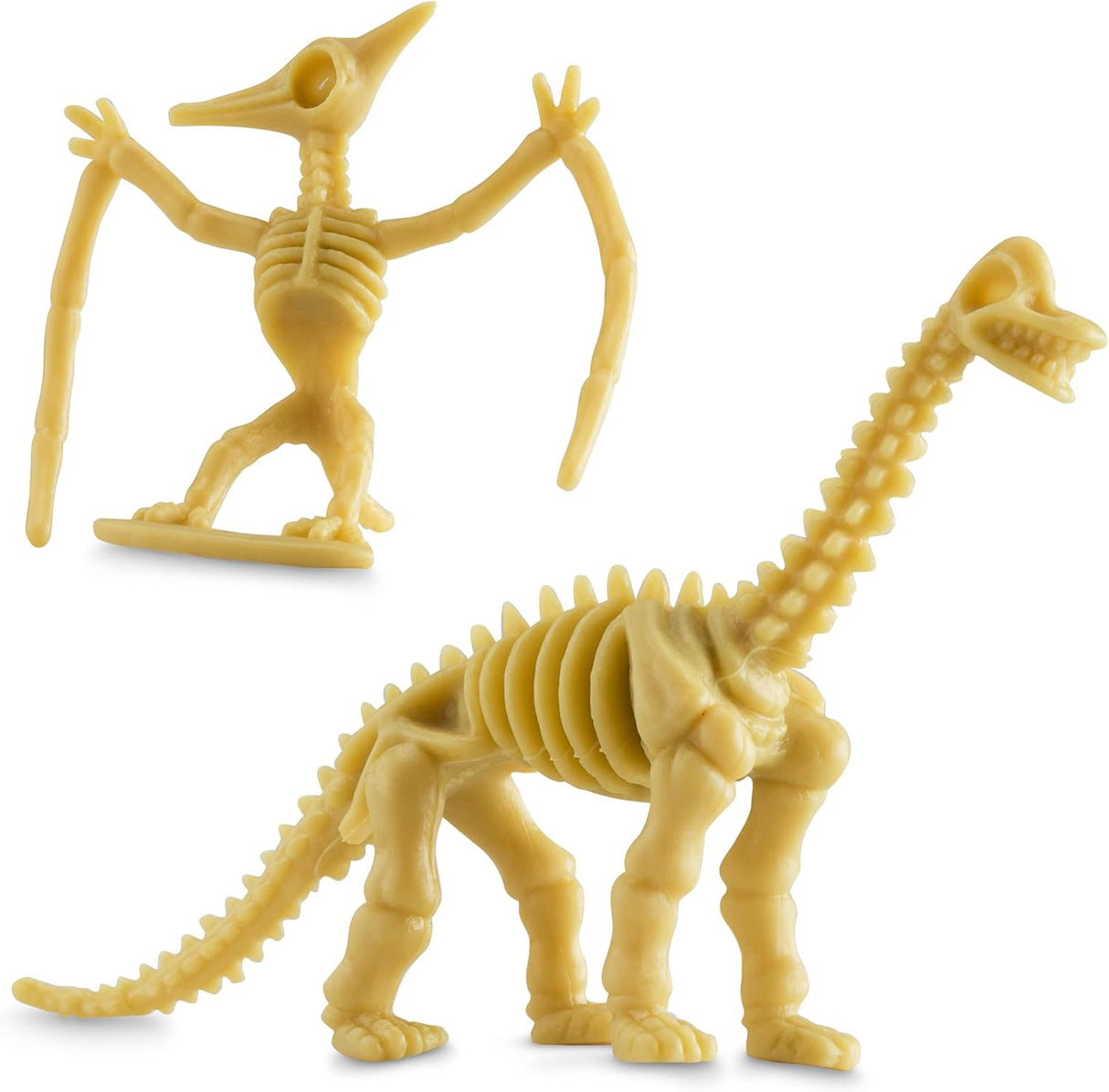 Esqueleto de Dinosaurio Bedwina - 24 Figuras Plásticas 3.7