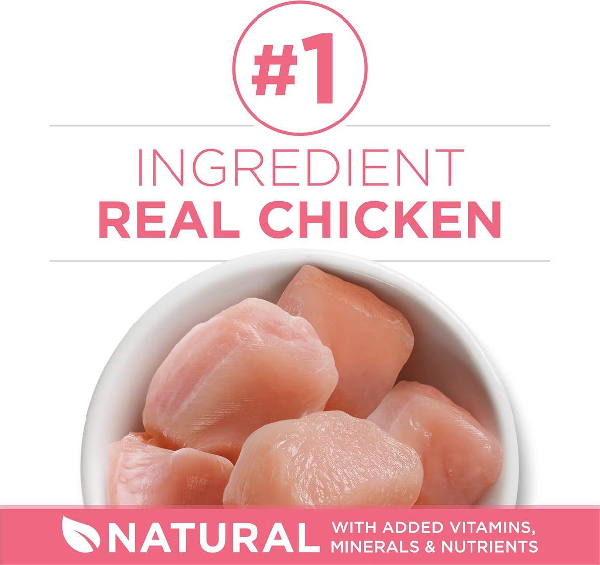 Alimento seco natural para gatitos fórmula saludable