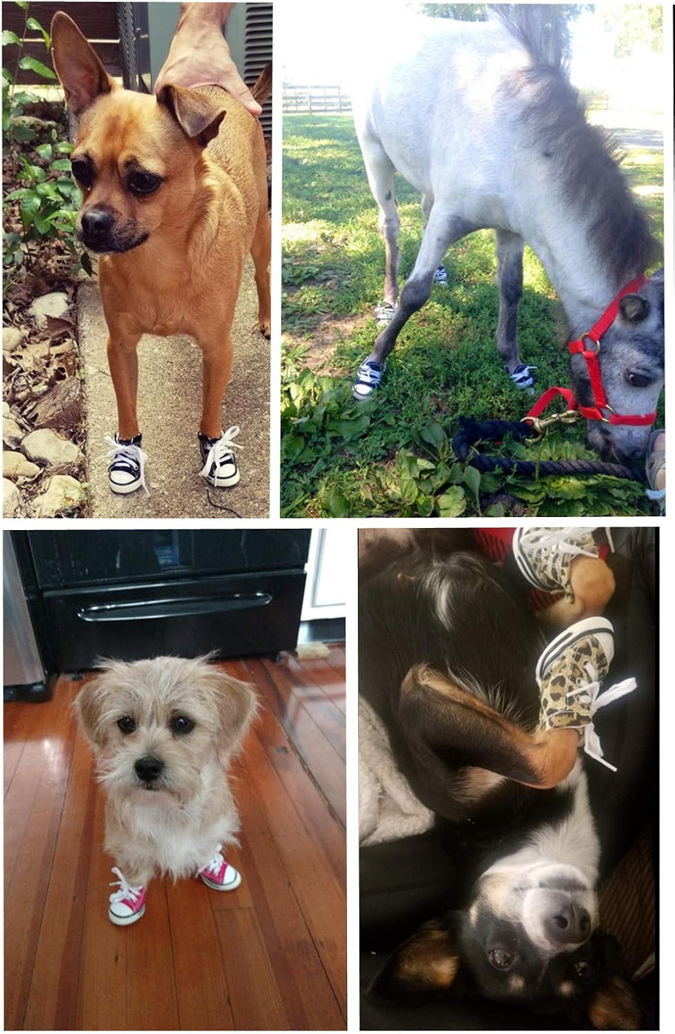 Botas, zapatillas y zapatos deportivos de lona para cachorros de abcGoodefg, zapatos casuales no deslizantes para exteriores, suela de goma y tela interna de algodón suave, Rosado