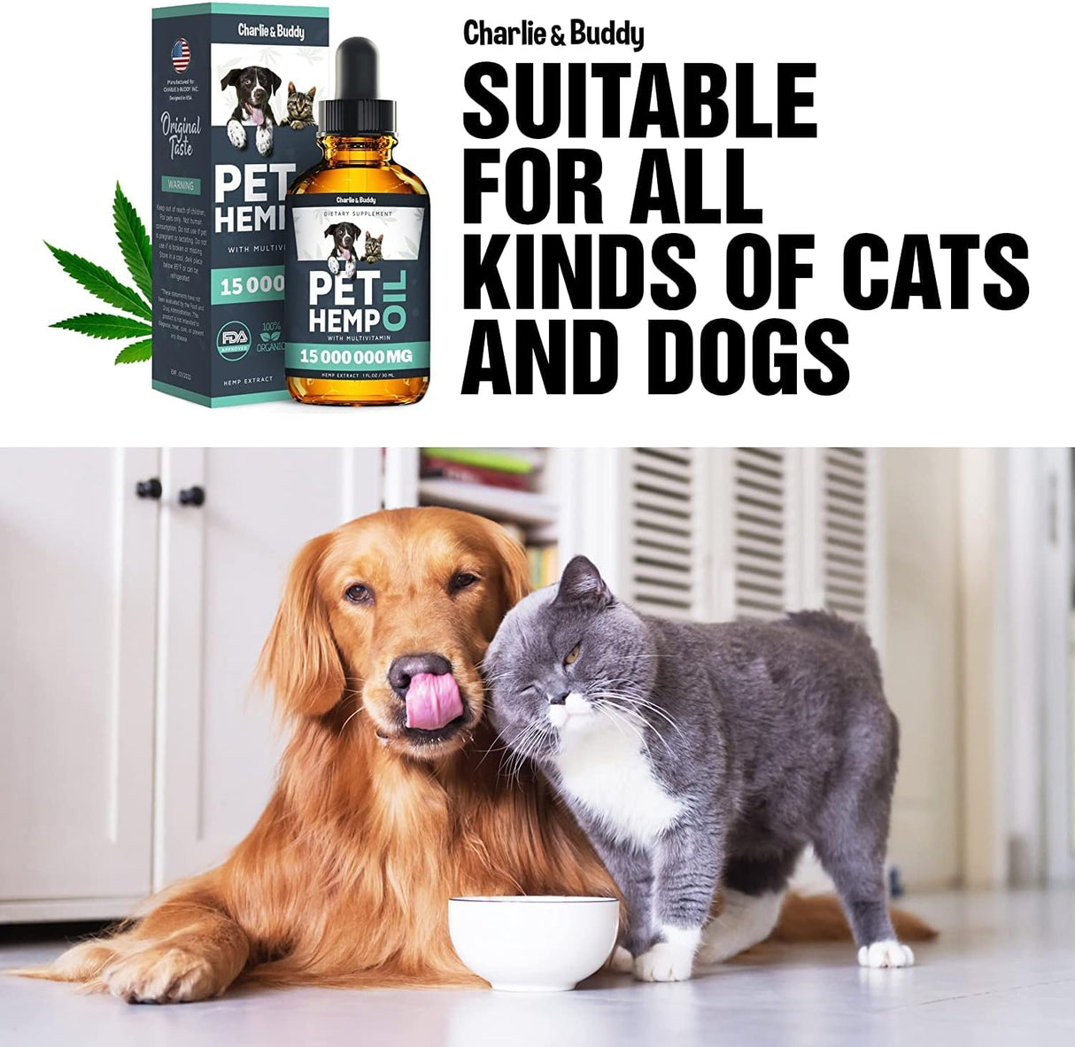 Vitaminas Ayuda a las mascotas con la ansiedad