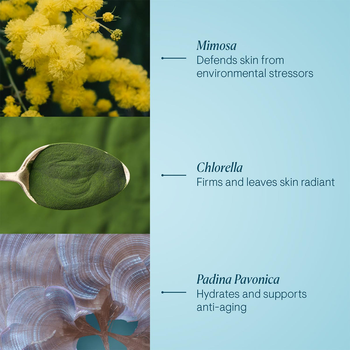 Crema marina Pro-Collagen antiarrugas hidratante